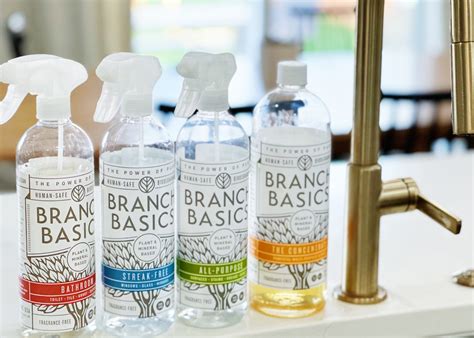 Branch Basics (Tested + Reviewed) - Gurl Gone Green