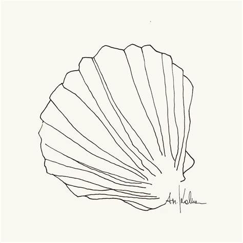 Image result for Shell Background Drawing