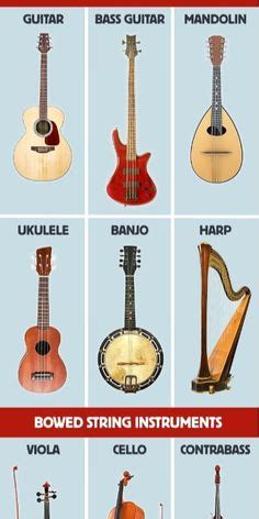 A guide to different types of stringed musical instruments. in 2025 ...