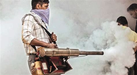 Dengue cases dip slightly, while chikungunya, malaria cases rise