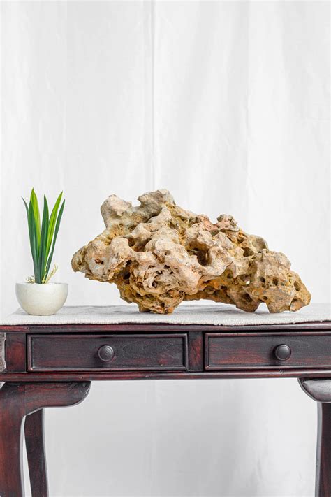 Natural Sea Rock Table Decor - Small - Style 02 – Decorcorner
