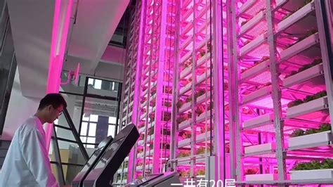 在20层“高楼”里种菜！我国自主研发的首座无人化垂直植物工厂-科技视频-搜狐视频