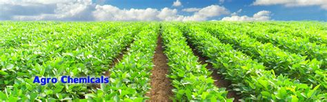 Agro Chemicals - Formulation
