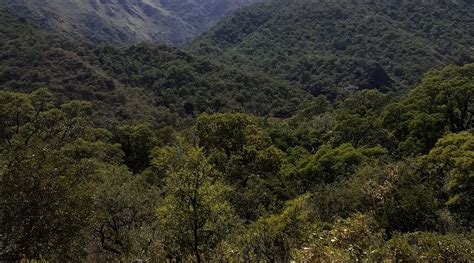 MONTE CAPILLA - Reviews, Photos, Rate Comparison