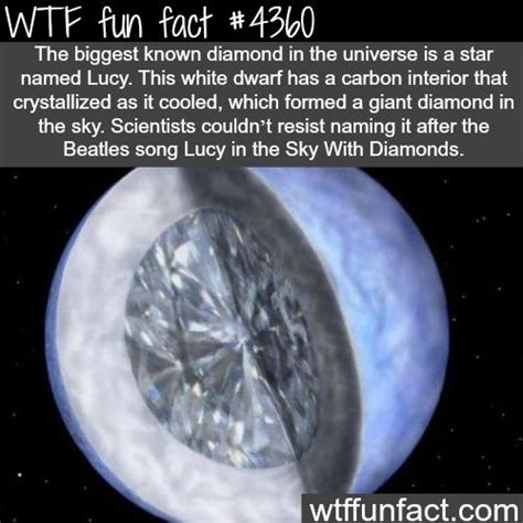 Image result for Super Random Facts