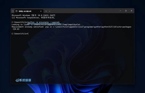 How to Set Up PIP PyPI 的图像结果