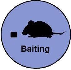 Women - Social Engineering - ISEA