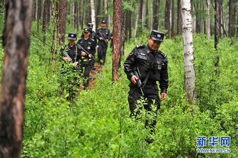 内蒙阿龙山森林警察守护林海28年如一日[6]- 中国日报网