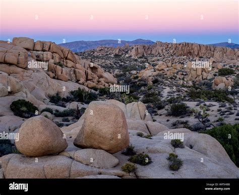 Landscape in Joshua Tree National Park, California, USA, where the Mojave and Colorado desert ...