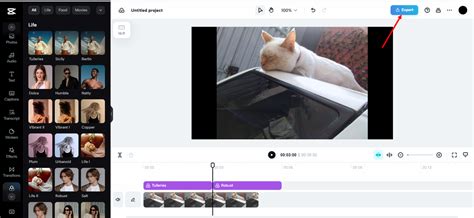 Computer Filter Over Video 的图像结果