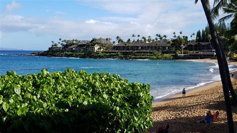 Secluded Paradise - Review of The Napili Bay, Lahaina - Tripadvisor