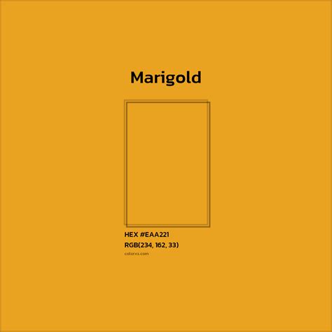 About Marigold - Color codes, similar colors and paints - colorxs.com