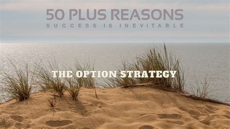 Option Strategy 的图像结果