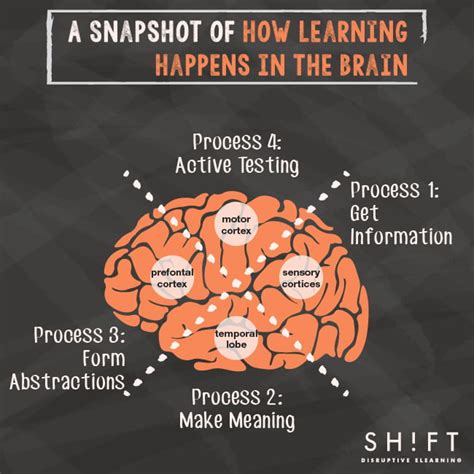 Image result for Brain Learning Process
