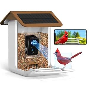 BROAIMX Smart Bird Feeder Camera, Free AI Forever, 32G TF Card & 1080P ...