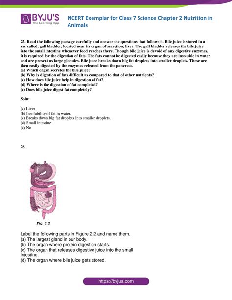 Image result for Class 7 Science Chapter 2