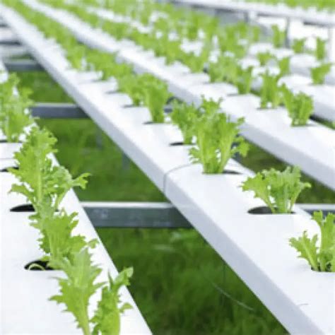 Image result for Destination Storage System