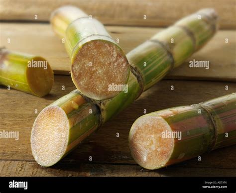Cut Sugarcane High Resolution Stock Photography and Images - Alamy