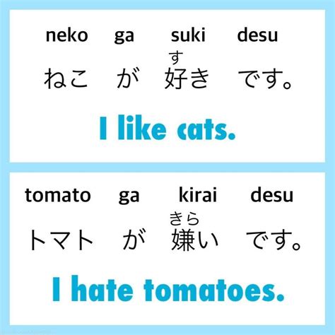 Learn Basic Japanese Words and Phrases