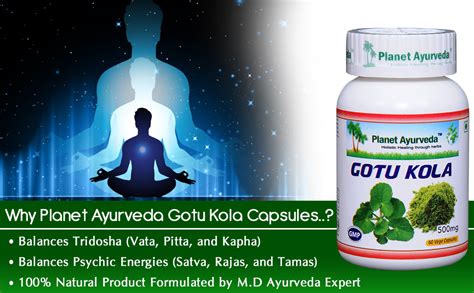 Planet Ayurveda Gotu Kola to Balance all three Dosha - 60 Capsules ...
