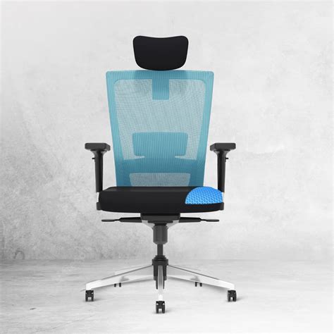 The Sleep Company SmartGRID Stylux Ergo High-Back Home & Office Chair ...