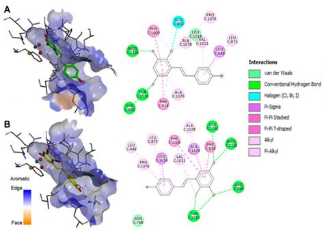 Oxidized Resveratrol Metabolites as Potent Antioxidants and Xanthine ...
