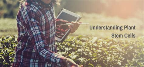 Stem Cells Science 的图像结果