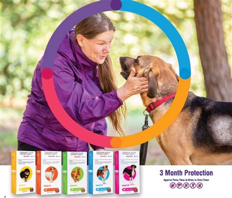 Bravecto 500mg Tick & Flea Treatment for Medium Dogs 10-20kg