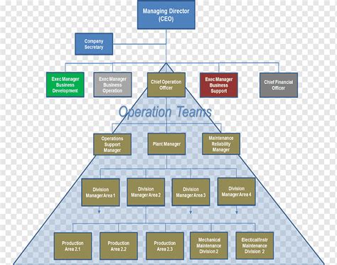 Management Structure 的图像结果