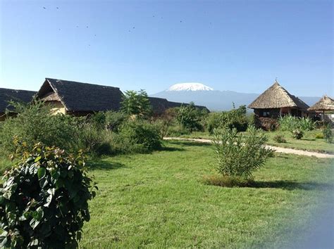 AA LODGE AMBOSELI (Amboseli National Park) - Lodge Reviews, Photos ...