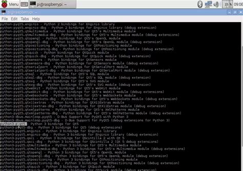 Image result for PyQt5 for Raspberry Pi Tutorials