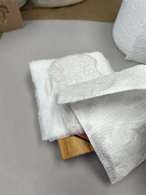 Paper Casting Tutorial 的图像结果