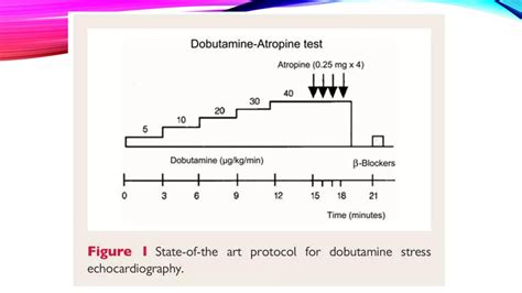 Dobutamine Stress Test