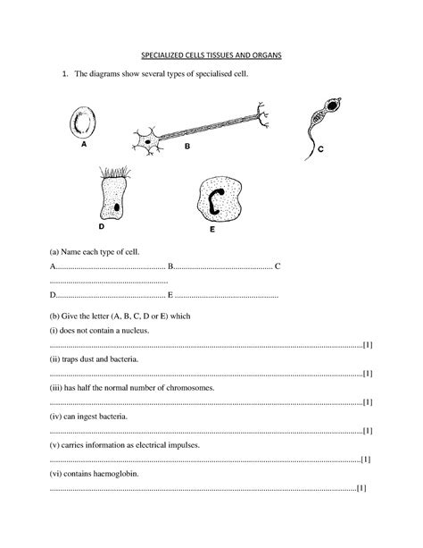 Cells Are Specialized