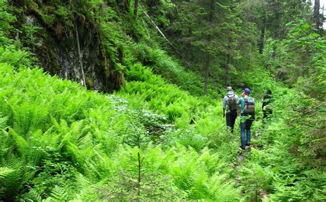 THE 30 BEST Places to Visit in Joensuu (2025) - Must-See Attractions