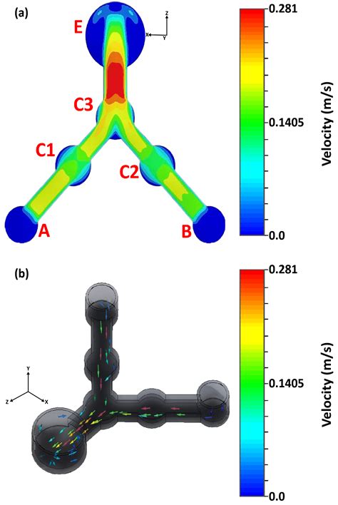 Optimization of Microchannels and Application of Basic Activation ...