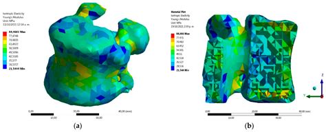 Characterization of Pig Vertebrae under Axial Compression Integrating ...