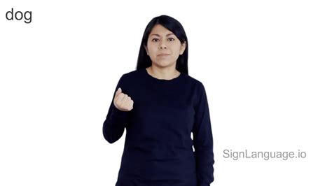 dog in ASL - Example # 8 - American Sign Language