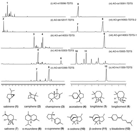 Genome Mining of Fungal Unique Trichodiene Synthase-like Sesquiterpene ...