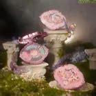 Buy Flower Knows Products Online at Best Prices in India | Ubuy