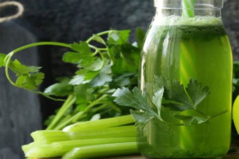 5 plantas que te ayudan a limpiar los riñones – Metro World News