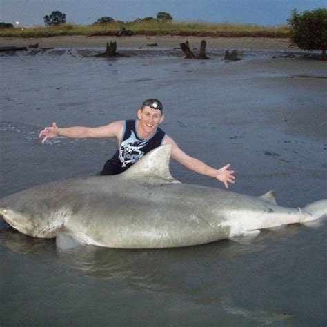 Bull Sharks In Freshwater