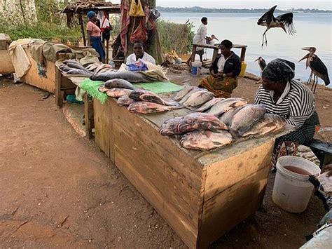 COLONIAL RESIDENCE (Entebbe) - B&B Reviews, Photos, Rate Comparison ...