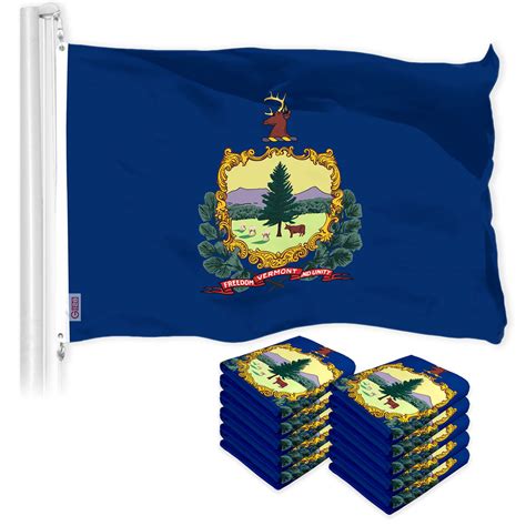 G128 10 Pack: Vermont VT State Flag | 3x5 Ft | LiteWeave Pro Series Pr ...