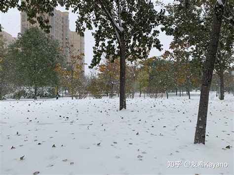 2022 年北方首场大范围雨雪即将来袭，在天津的你都拍过哪些美丽的雨景或雪景照片？ - 知乎
