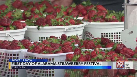 Alabama Strawberry Festival Returns | May 3, 2024 | News 19 at 6 p.m ...