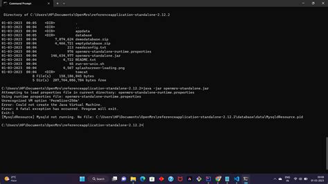 Image result for OpenMRS File