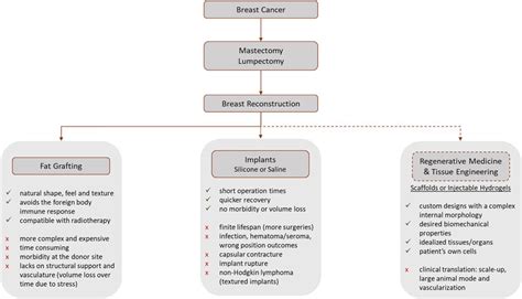 Bioengineering Examples 的图像结果