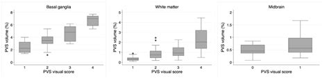 Clinical Relevance of Different Loads of Perivascular Spaces According ...