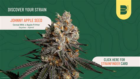 Nature's Care Co. / Cannabis Dispensary